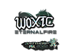 woxic (Glitter) | Antwerp 2022 image